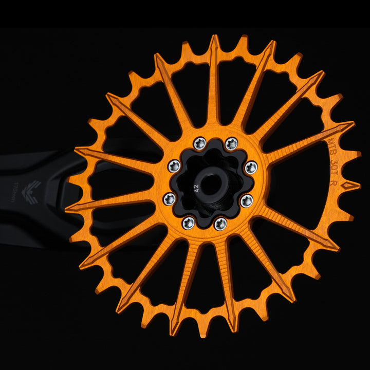 Plato GARBARUK DM MTB para SRAM 8-BOLTS