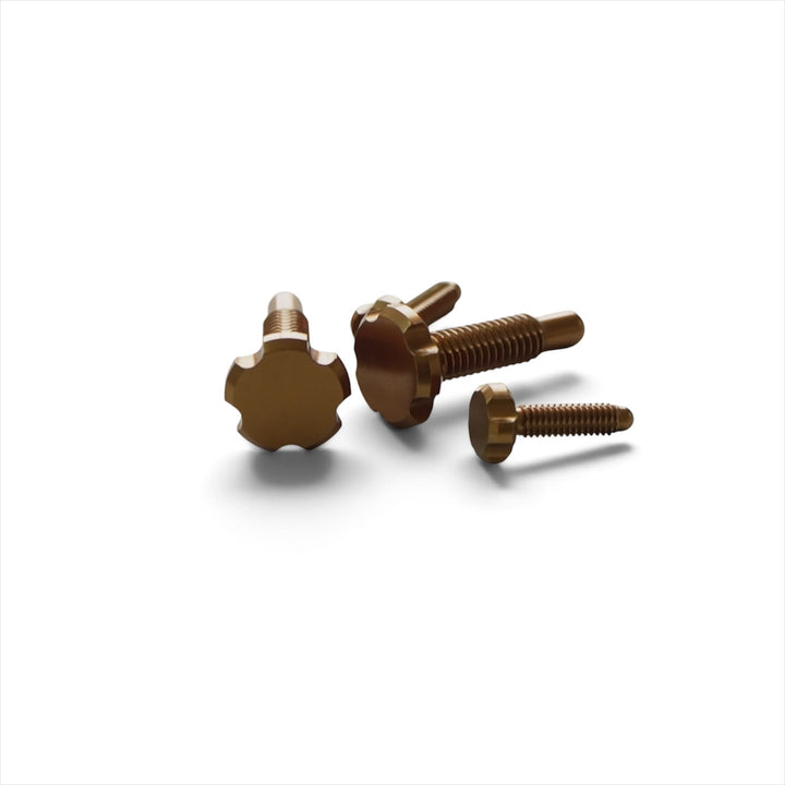 Kit de tornillos OAK para palancas RLP Magura